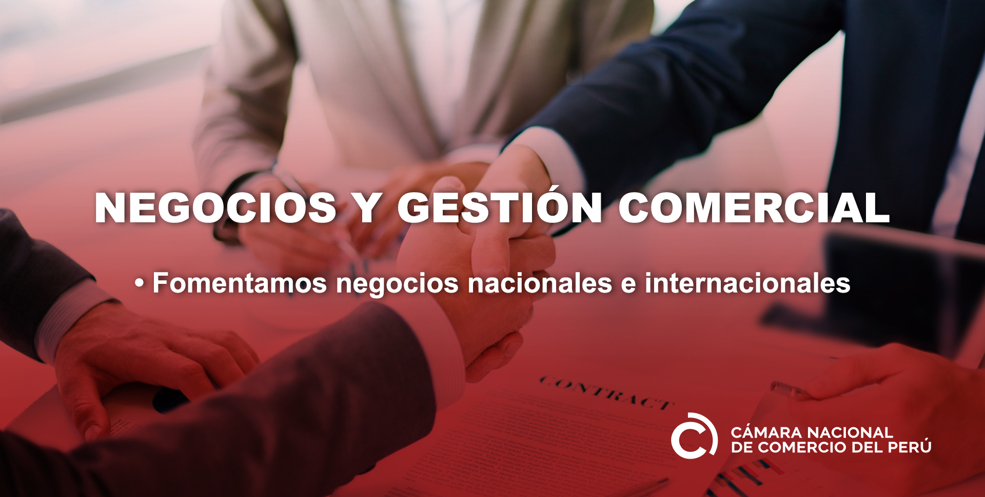NEGOCIOS